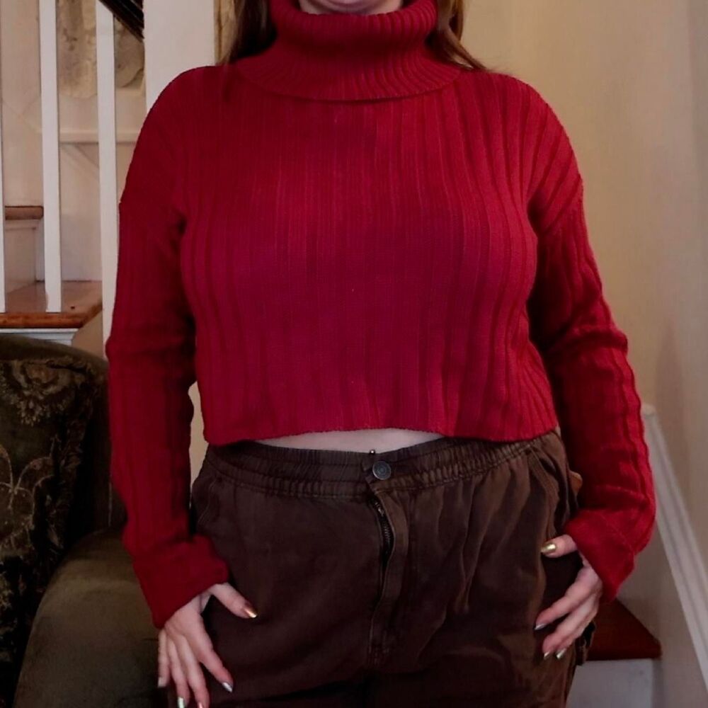 Raspberry  Forever 21 Turtleneck Cropped Ribbed Sweater Sz Small Pink Jumper